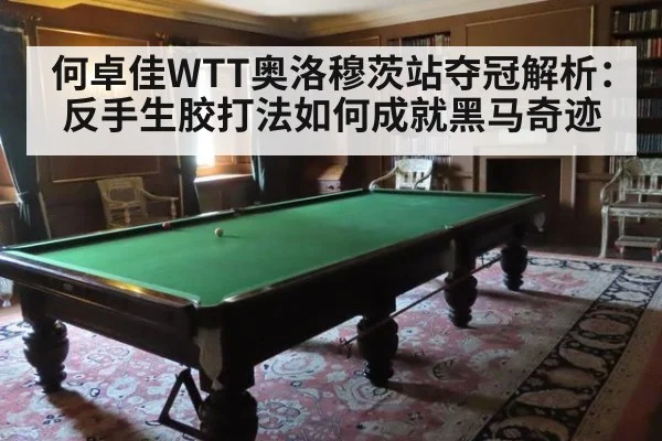 何卓佳WTT奥洛穆茨站夺冠解析：反手生胶打法如何成就黑马奇迹